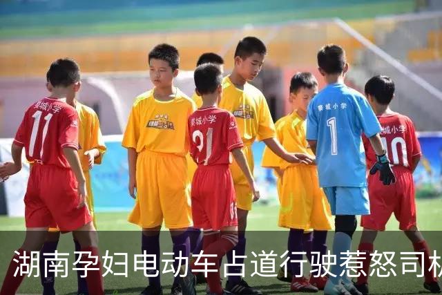 湖南孕妇电动车占道行驶惹怒司机，遭踹翻处理事件引关注